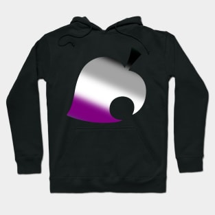 Asexual Pride Racoon Leaf Crossing gradient Hoodie